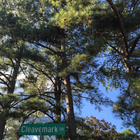 cleavemark-sign