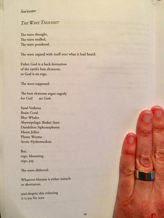 18268091_10210992546824564_7263582707477996709_n